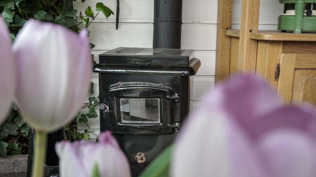 B&B Jardin - Schagen Zewnętrze zdjęcie